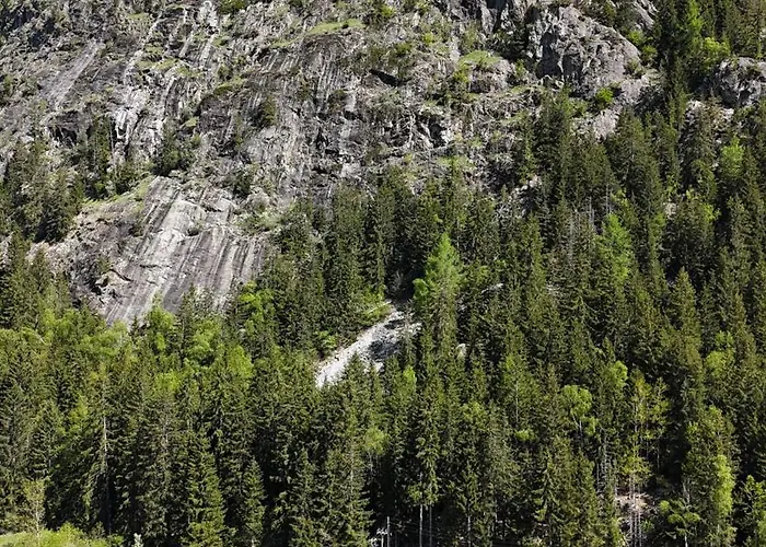 Grand Апартаменты Finhaut